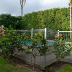 Villa Renovation and Extension MT Eden - Pool Renovation - Kiwi Builders